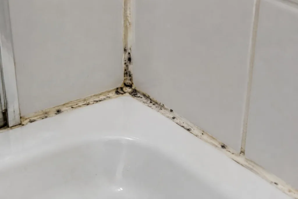 Kitbedrijf Veenendaal – beschimmelde kitranden